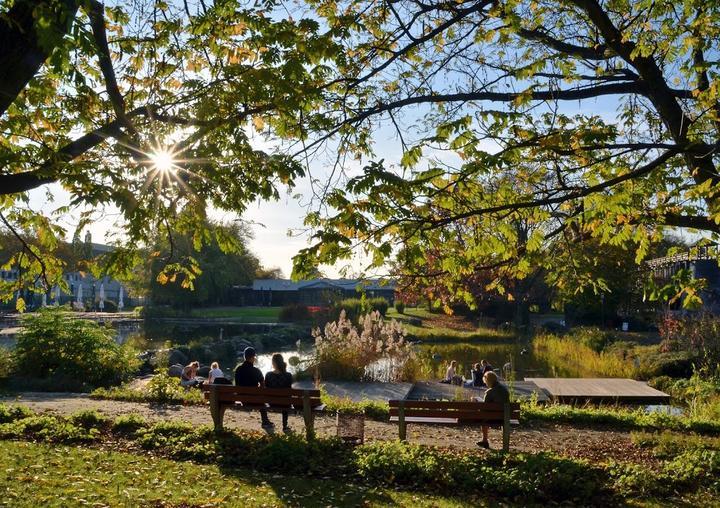 Wassergarten